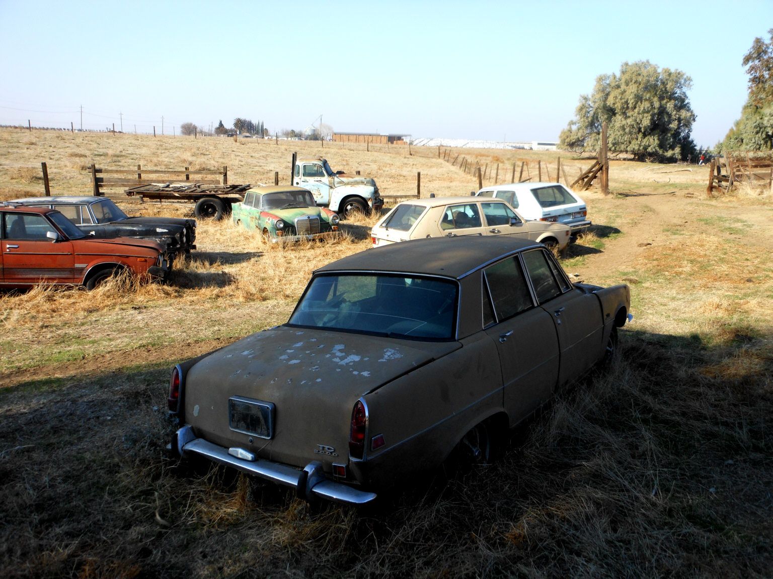 Alle Bilder dieser Reihe: Ponton Farm in Chico
